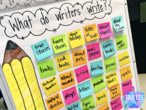 What do writers write mini lesson and anchor chart